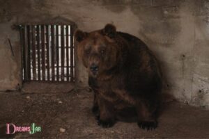 Dream Meaning Brown Bear in House