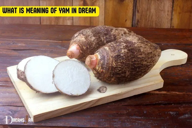 What Is Meaning Of Yam In Dream? Prosperity!