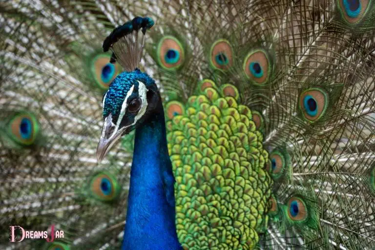 What Is the Meaning of Peacock in Dream