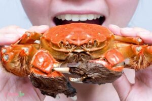 Biblical Meaning of Eating Crabs in a Dream: Transformation!