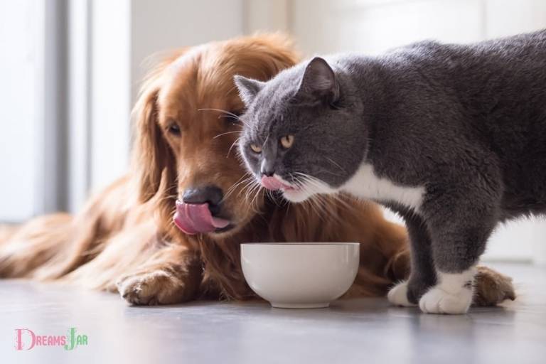 Dog Eating Cat Dream Meaning