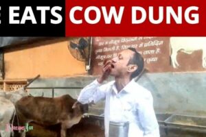 Eating Cow Dung in Dream Meaning