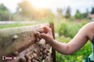 What Is the Meaning of Picking Snail in the Dream