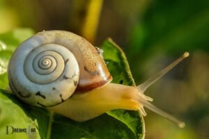 What Is the Meaning of Snail in the Dream