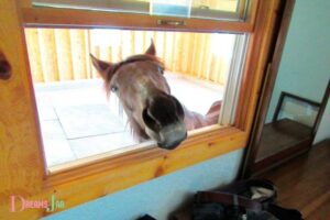 Dream Meaning Horse in House: Personal Growth!