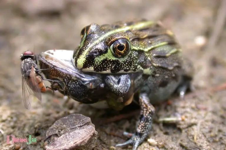 frog eating frog dream meaning