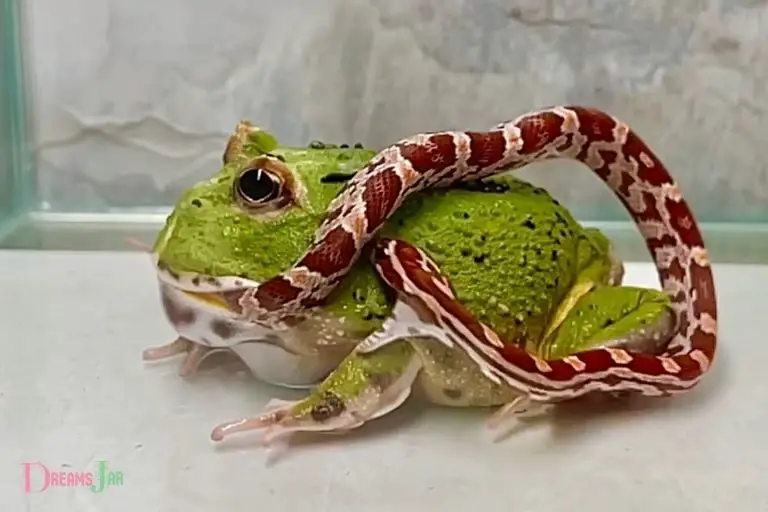 Frog Eating Snake Dream Meaning: Growth!