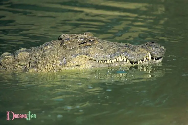 dream meaning of seeing crocodile in water