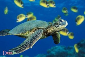 What Does It Mean to Dream of Turtles in Water? Wisdom!