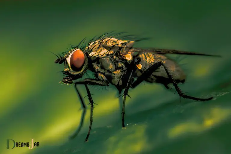 What Is the Spiritual Meaning of Flies in a Dream 1