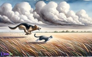 Dog Chasing Cat Dream Meaning