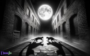 Fighting Black Cat Dream Meaning