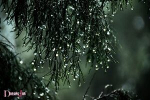 What Is the Spiritual Meaning of Rain in a Dream? Renewal