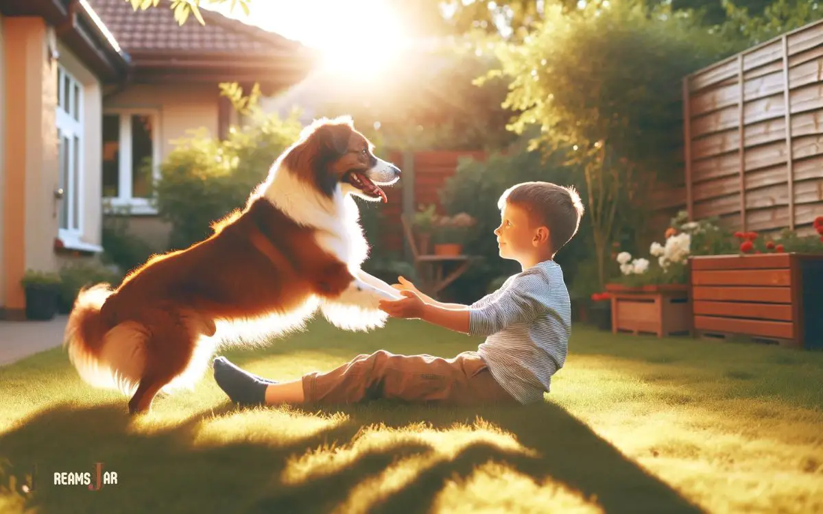 Loyalty and Companionship in Brown and White Dog Dreams