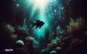 black fish in dream meaning